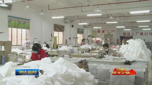 肇慶加快推進‘五位一體’總體布局，助力企業有效復工復產