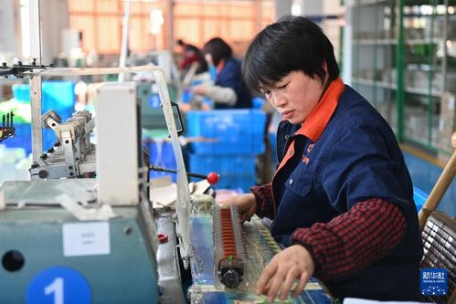 浙江嵊州 以專業咨詢服務為引擎，高質量推進工業經濟發展