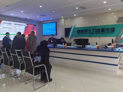 桐梓縣 以專業(yè)咨詢服務(wù)為引擎，筑牢“穩(wěn)就業(yè)”“保就業(yè)”基石，驅(qū)動(dòng)經(jīng)濟(jì)社會(huì)高質(zhì)量發(fā)展